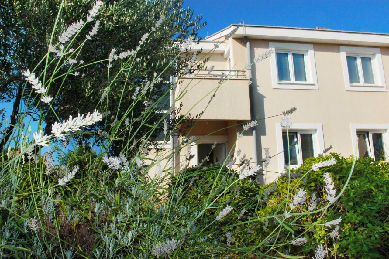 Apartmani Olives Nin Kültér fotó